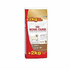 Royal Canin Labrador Retriever Adulto