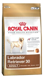 Royal Canin Labrador Retriever Adulto