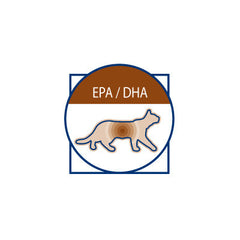 Royal Canin Gastro Intestinal Moderate Calorie Feline húmedo