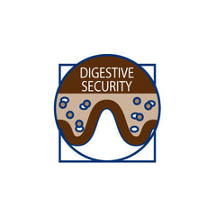 Royal Canin Gastro Intestinal Feline Húmedo