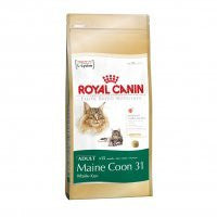 Royal Canin Maine Coon Adulto