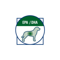 Royal Canin Obesity Management húmedo