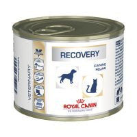 Royal Canin Recovery Húmedo